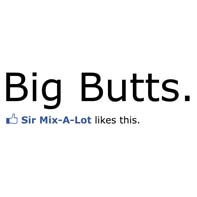 I Like Big Butts
