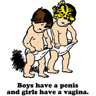 What's in my Diaper? thumb